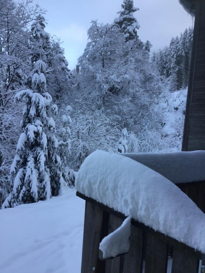 Hotel Restaurant La Fourmi Bourbach-le-Haut ภายนอก รูปภาพ